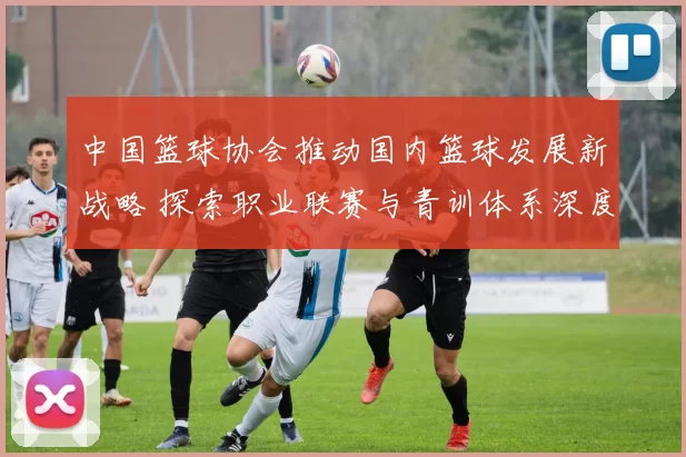 中国篮球协会推动国内篮球发展新战略 探索职业联赛与青训体系深度融合
