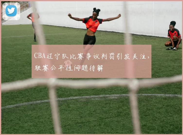 CBA辽宁队比赛争议判罚引发关注,联赛公平性问题待解