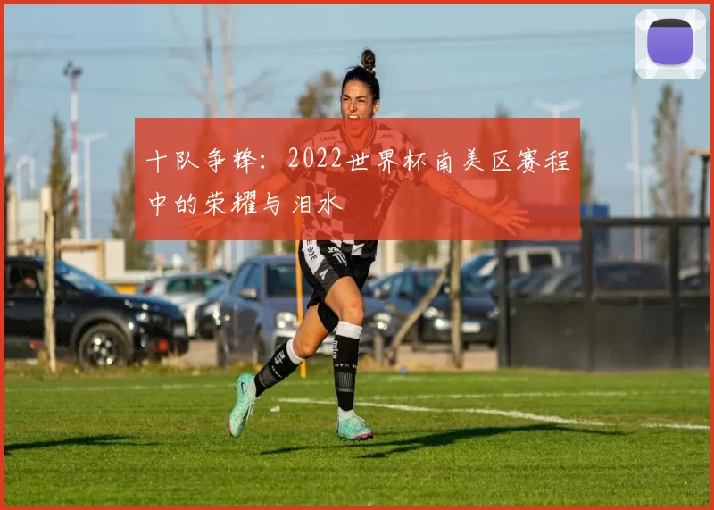 十队争锋:2022世界杯南美区赛程中的荣耀与泪水