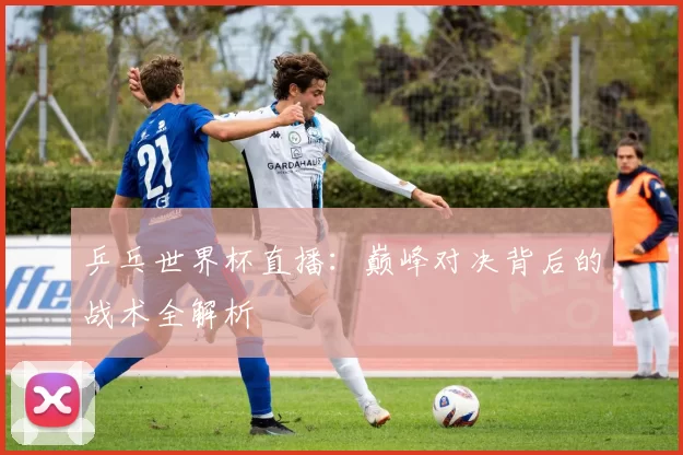 乒乓世界杯直播：巅峰对决背后的战术全解析