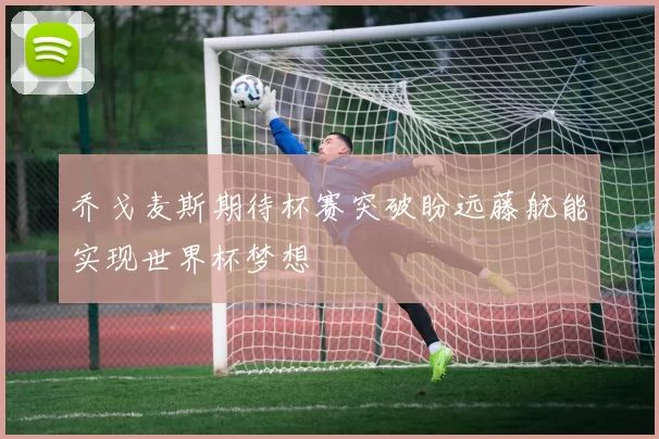 乔戈麦斯期待杯赛突破盼远藤航能实现世界杯梦想