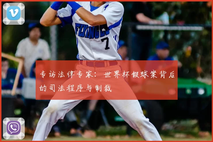 专访法律专家：世界杯假球案背后的司法程序与制裁
