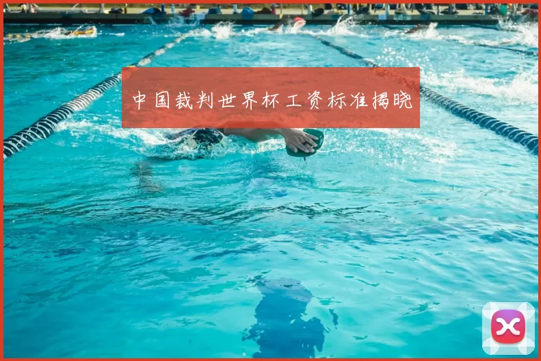 中国裁判世界杯工资标准揭晓