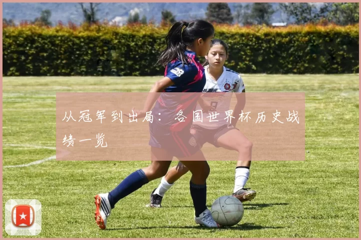 从冠军到出局：各国世界杯历史战绩一览