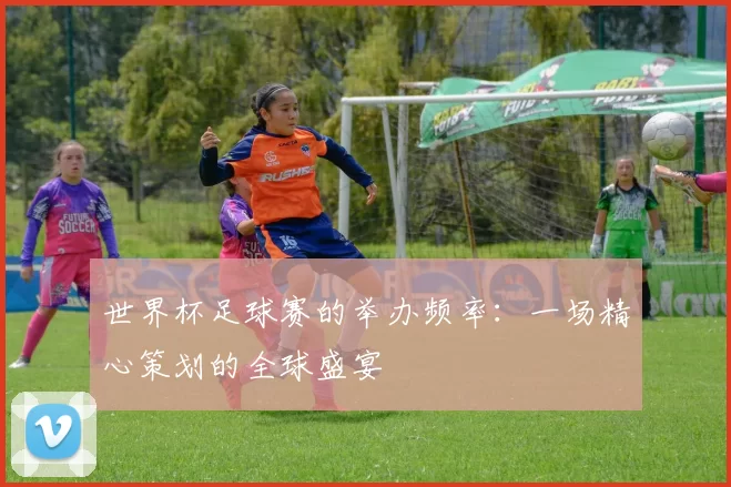 世界杯足球赛的举办频率：一场精心策划的全球盛宴