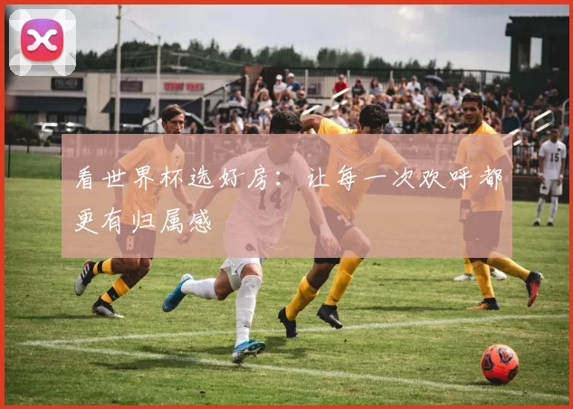 看世界杯选好房:让每一次欢呼都更有归属感