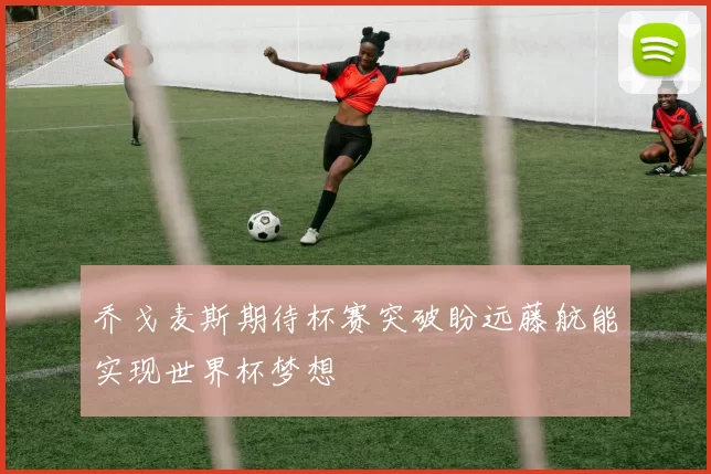 乔戈麦斯期待杯赛突破盼远藤航能实现世界杯梦想