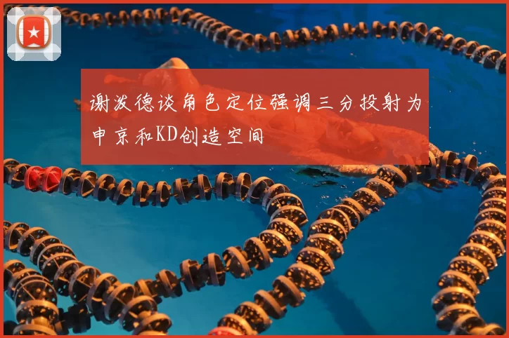 谢泼德谈角色定位强调三分投射为申京和KD创造空间