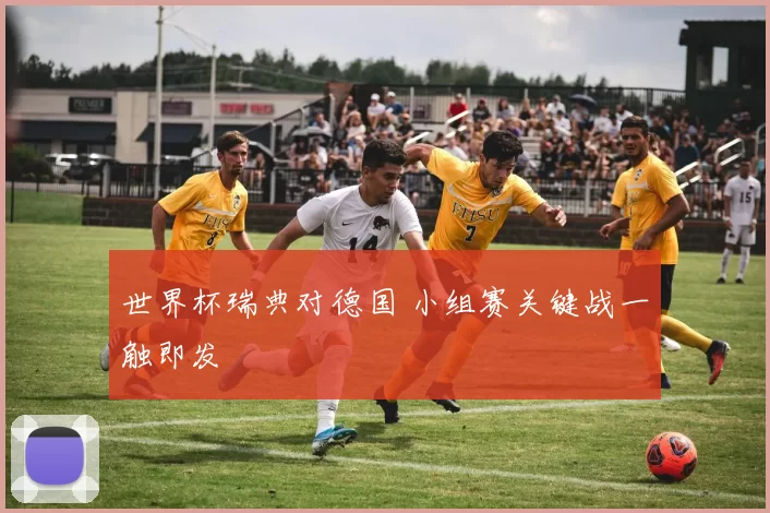 世界杯瑞典对德国 小组赛关键战一触即发