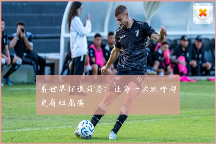看世界杯选好房:让每一次欢呼都更有归属感