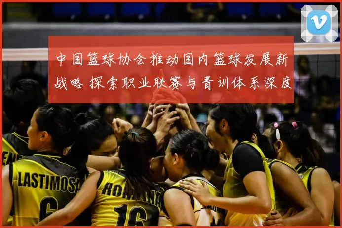 中国篮球协会推动国内篮球发展新战略 探索职业联赛与青训体系深度融合