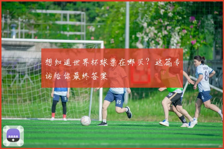 想知道世界杯球票在哪买？这篇专访给你最终答案
