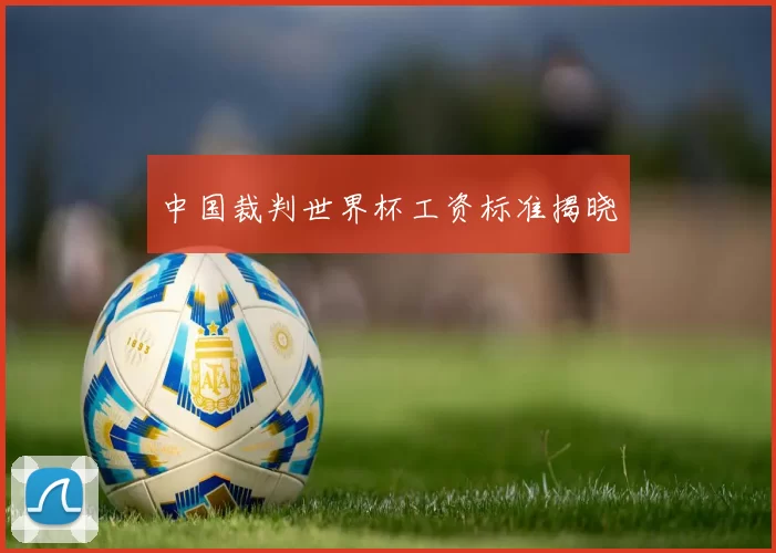 中国裁判世界杯工资标准揭晓