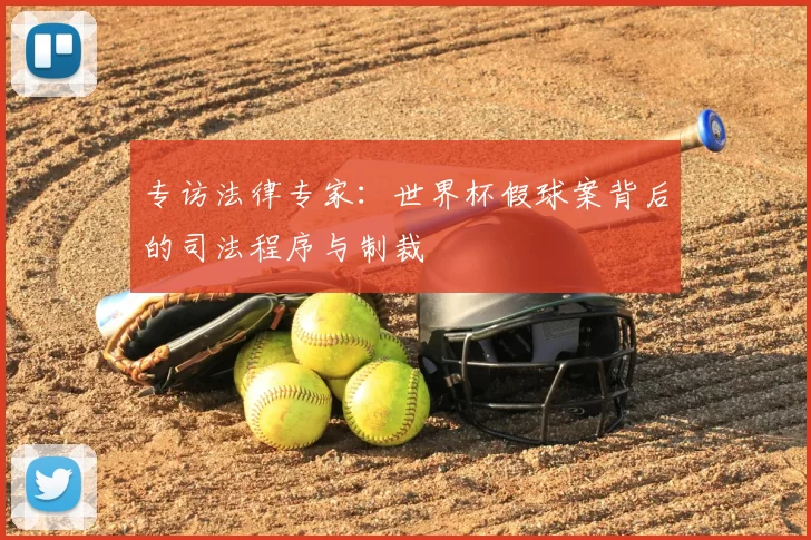专访法律专家:世界杯假球案背后的司法程序与制裁