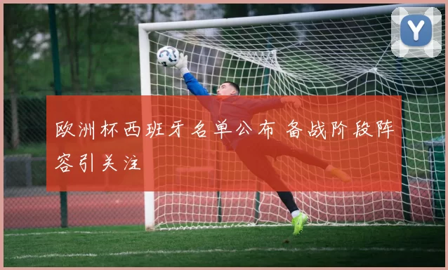 欧洲杯西班牙名单公布 备战阶段阵容引关注