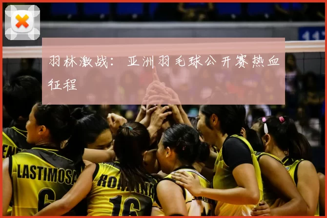 羽林激战：亚洲羽毛球公开赛热血征程