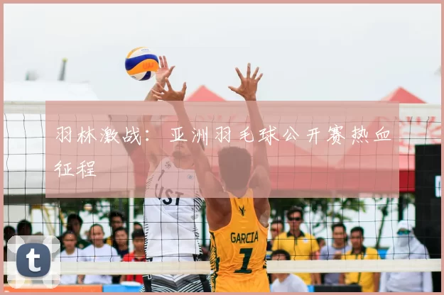 羽林激战：亚洲羽毛球公开赛热血征程